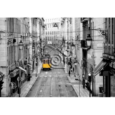Fotomural Streets Of Lisbon 00971