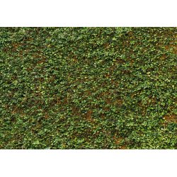 Fotomural Ivy Wall 00979