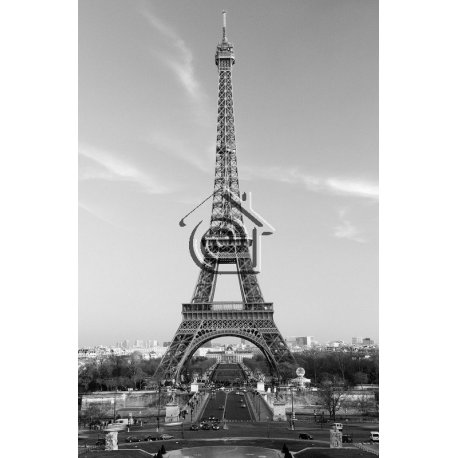 Fotomural La Tour Eiffel 00604