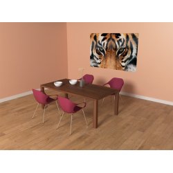 Decoración con Fotomural Tiger 00608