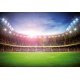 Fotomural Stadium At Night 00167