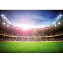 Fotomural Stadium At Night 00167