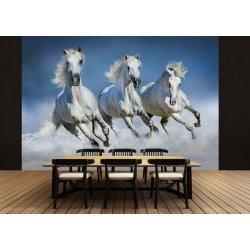 Decoración con Fotomural Arabian Horses 00162