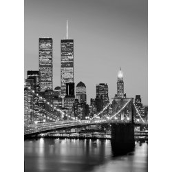 Fotomural Manhattan Skyline At Night 00388
