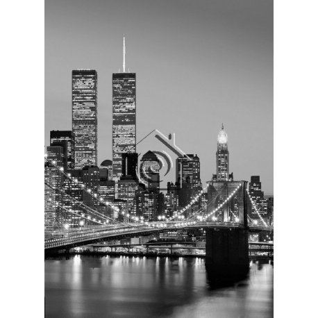 Fotomural Manhattan Skyline At Night 00388