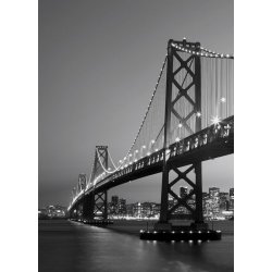 Fotomural San Francisco Skyline 00387