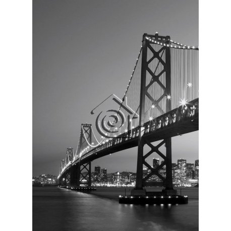 Fotomural San Francisco Skyline 00387