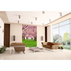 Decoración con Fotomural Cherry Trees 00385