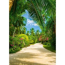 Fotomural Tropical Pathway 00438