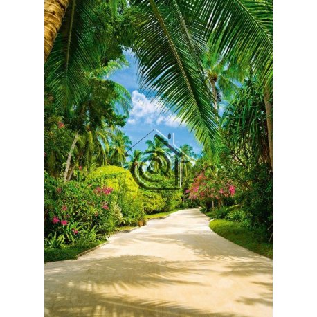 Fotomural Tropical Pathway 00438