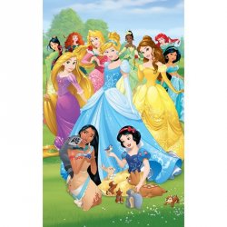 Fotomural Princess Disney 43053