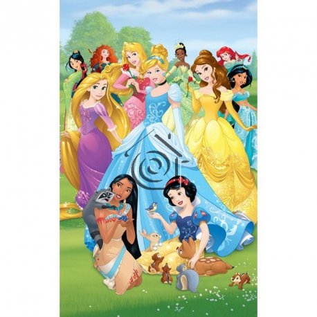 Fotomural Princess Disney 43053