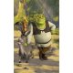 Fotomural Shrek 43084