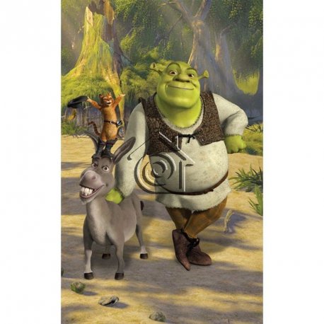 Fotomural Shrek 43084