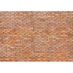 Fotomural Brick Wall 97291