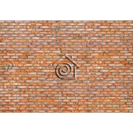 Fotomural Brick Wall 97291