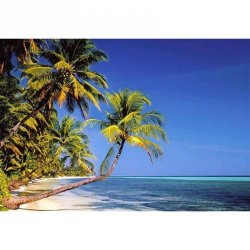 Fotomural Tropical Beach 97220