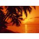 Fotomural Tropical Sunset 97276