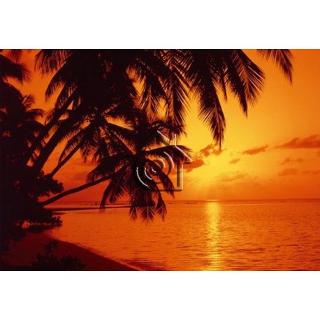 Fotomural Tropical Sunset 97276