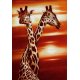 Fotomural Giraffe 758