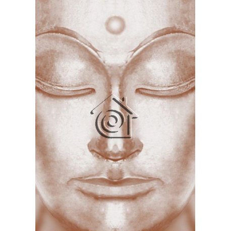 Fotomural Smailing Buddha 766