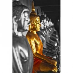 Fotomural Buddhas 904