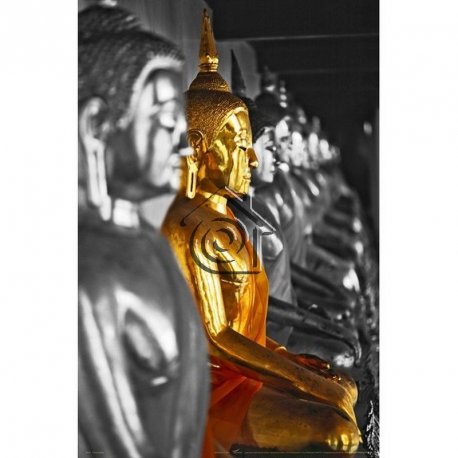 Fotomural Buddhas 904
