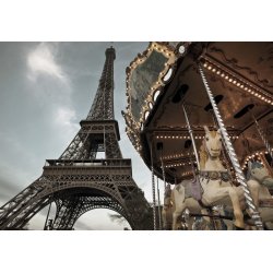 Fotomural Carrousel De Paris 1-602