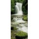 Fotomural Ellowa Falls 2-1047