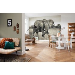 Decoración con Fotomural Elephant XXL4-529