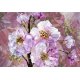 Fotomural Blooming XXL4-064