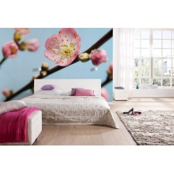 Decoración con Fotomural Peach Blossom