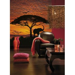 Decoración con Fotomural African Sunset 4-501