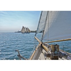 Fotomural Sailing 8-526