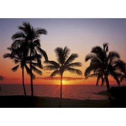 Fotomural Hawaii 8-307