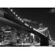 Fotomural Brooklyn Bridge FTS-1305