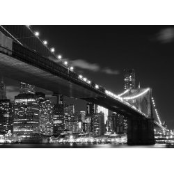 Fotomural Brooklyn Bridge FTS-1305