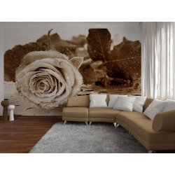 Decoración con Fotomural Black And White Rose FT-0086