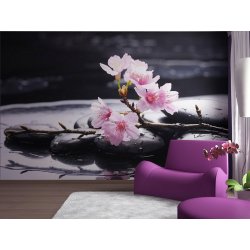 Decoración con Fotomural Pink on Stones FT-0185