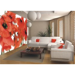 Decoración con Fotomural Poppy FTS-0479