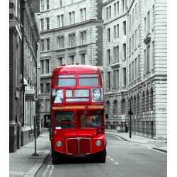 Fotomural London Bus FTL-1600
