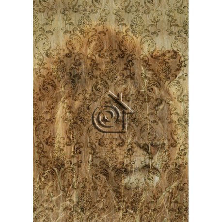 Panel Decorativo Cavalli 1 RC12069