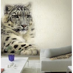 Decoración con Panel Decorativo Cavalli 1 RC12074