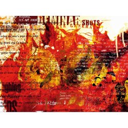 Fotomural A Tongue Of Fire FT-0179