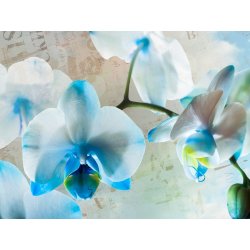 Fotomural Blue Flowers FT-1433