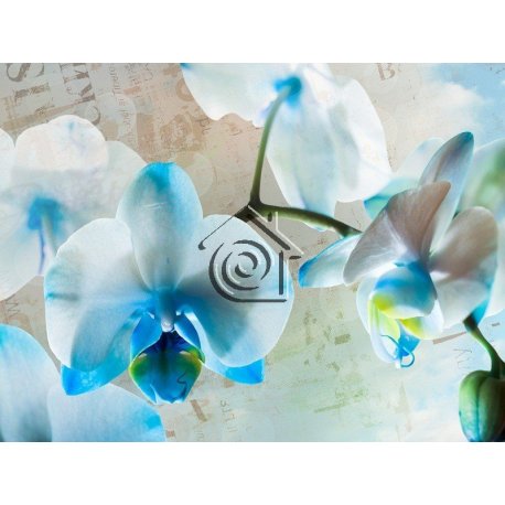 Fotomural Blue Flowers FT-1433