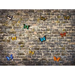 Fotomural Butterflies On Bricks FT-1435