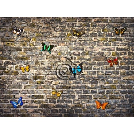 Fotomural Butterflies On Bricks FT-1435