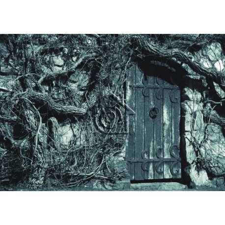 Fotomural Door Of Past FT-0332