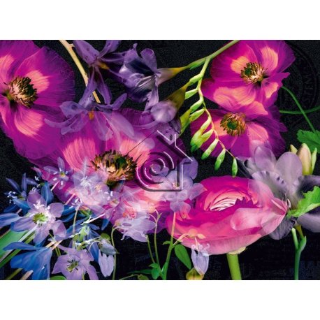 Fotomural Fantasy Flowers FT-0109